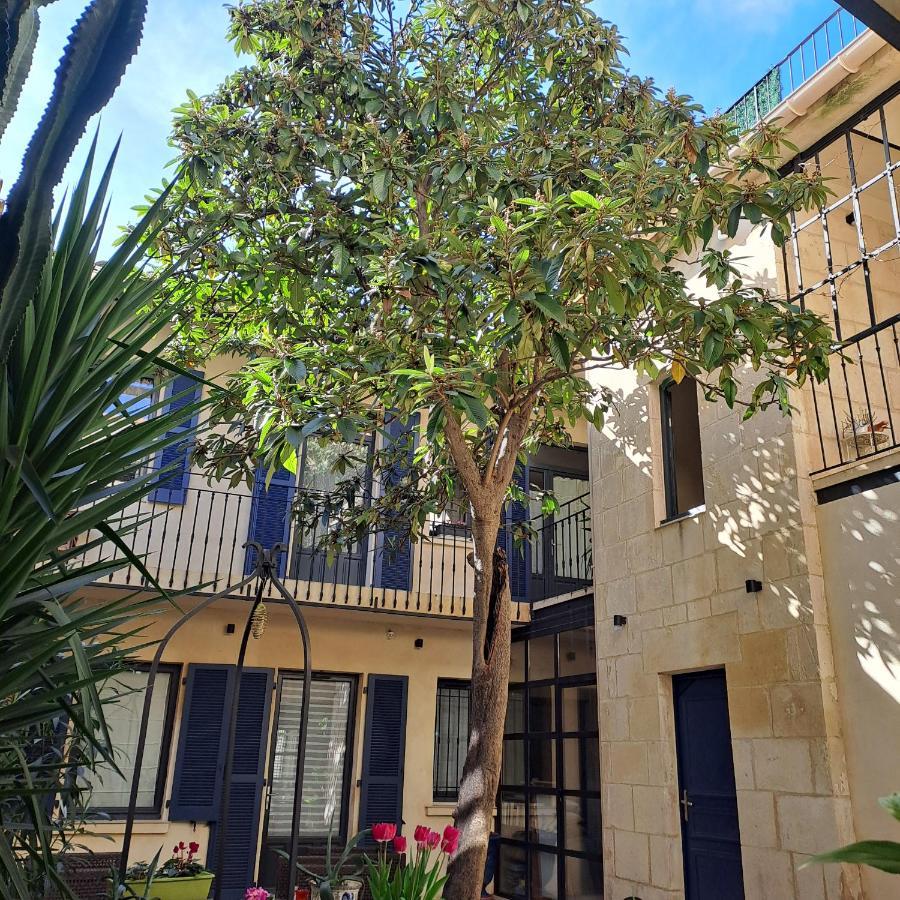 Sous Le Neflier Bed & Breakfast Nimes Ngoại thất bức ảnh